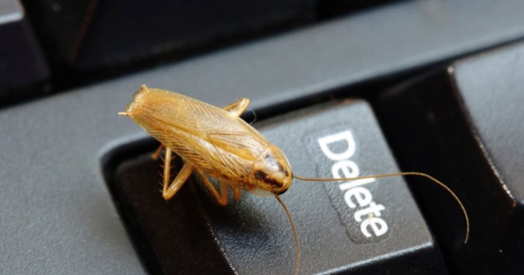 Уничтожение тараканов в офисе в Сочи
